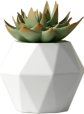 Slice-1.png Slice-1.png
